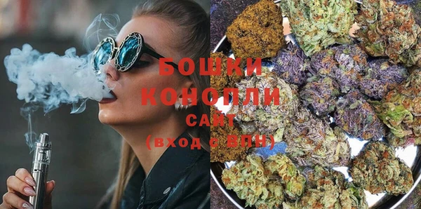 PSILOCYBIN Алексеевка