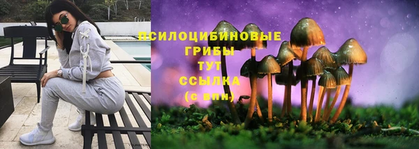 соль курить ск Новодвинск