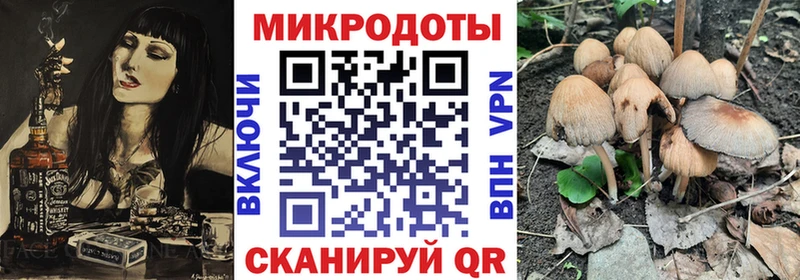 Галлюциногенные грибы ЛСД  Североуральск 